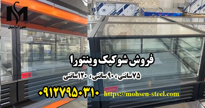 مشخصات فنی شوکیک مکس سیلور Max Silver وینتورا