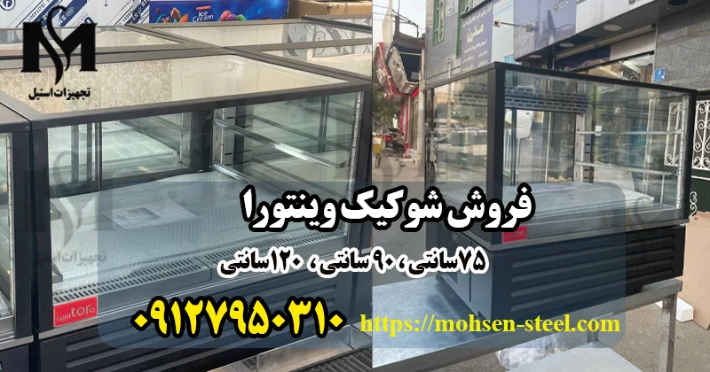 قیمت شوکیک وینتورا Max Silver در محسن استیل